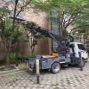 건우아파트 | 🪓 경기화성스카이차 _ 건우스카이 용인 아파트 내 소나무 전지 작업 후기