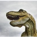 계산서울치과의원 이미지