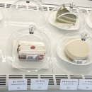 커피까사17
