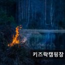 키즈락캠핑장 | ＊강원도추천캠핑장＊ 키즈락캠핑장 자연 속 편안한 캠핑 체험