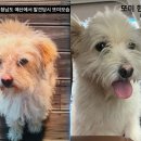 형도농장 이미지