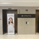 캑터스 딜사이트
