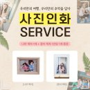 스테이종이와나무 이미지
