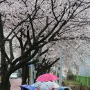 꽃비 - 달서구 상원로15길 79 | 꽃비