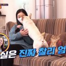 은봉농장 이미지