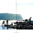 온평모다들엉(주) 이미지