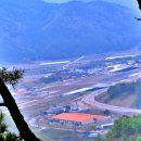 도원농산