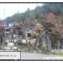 안동황우마을 이미지