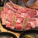 프리마스파 이미지