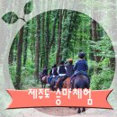 영오축산 | 제주도에 왔으면 말타러 가자! 제주 승마장에서 체험관광 어때요?