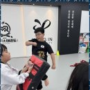 대한미르태권도장 이미지