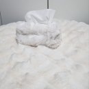 몽글몽글 펫 이미지