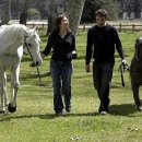 몽키모터스 이미지