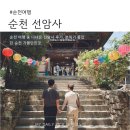 순천 가볼만한 곳 l 선암사 조계산 숲길 주차 포토존