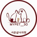 서른살나의펫2 이미지