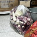 반석날마다땅콩