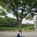여의도공원인라인대여소 이미지