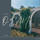 [여행] 오산 고인돌공원 | 두번째 방문 후기! 장미뜨레 장미 피기 시작했어요🌹
