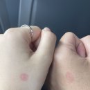 우아1동 주민센터 이미지