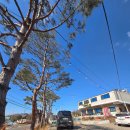 로맨틱스타 | 강화도애견펜션 강화도숙소 로맨틱스타펜션