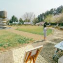 왕지로타리 이미지