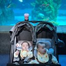 [육아 회고-2]자연임신 쌍둥이맘의 임신일기와 출산 후기 두번째이야기👶👶