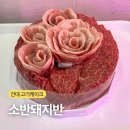 소반돼지반
