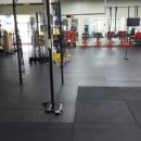 아놀드짐 이미지