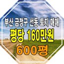 이지윤공인중개사사무소 이미지