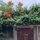 심복주 가옥 이미지