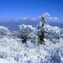 제10차 정기산행 시산제 이미지