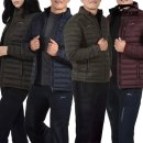 대성(4종)
