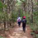 체험나들이코스 이미지