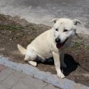 정경한의원 이미지