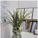 서울행정사사무소 이미지