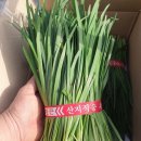 오이야채·과일