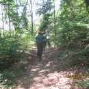 표교초교 이미지