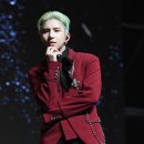 와우29 스포츠서울
