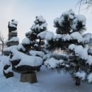 고요정원 이미지