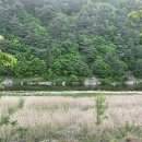 (주)대연아이디 | 2024 젊은 작가상 후기 - 시기에 따른 글감 유행 분석