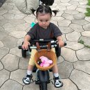 플러스소프트 | 두돌아기 생일선물 추천 삼천리자전거 2025년식 비타민트라이크 플러스 소프트카키 구매후기 및 장단점