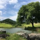 그레이스cc레스토랑 이미지