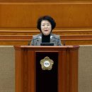 김보영 카카오 검색결과