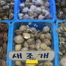 바다수산 | 안면도 수산시장 회포장 맛집 바다수산 방문 후기