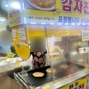 정선감자전 이미지