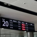 요망진시온청과 | [26년4월,봄] 제주 │ 자칭 명예 제주도민 여행기