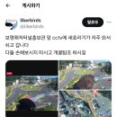 맹금류 구경 가능한 보령 cctv 근황 이미지