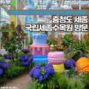 ㈜희망을심는나무 | [여행] 충청도 세종 국립세종수목원 방문: 희망을 심는 수목원, 행복을 가꾸는 정원이 가득한 곳