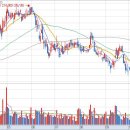 오토케이 이미지