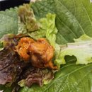 명성3호 | 춘천 통나무집 닭갈비 3호점 후기 철판닭갈비 맛집 주말 웨이팅까지 내돈내산 리뷰